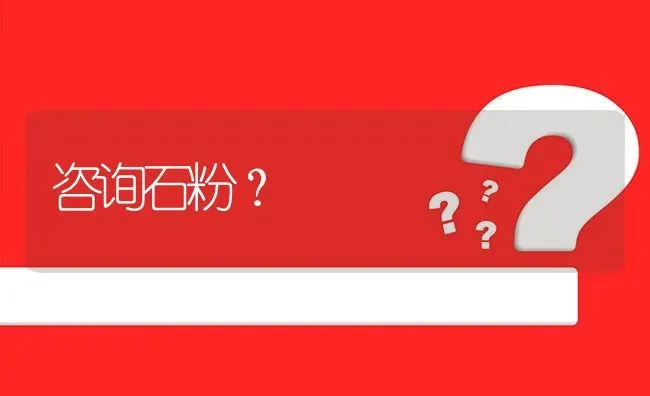 咨询石粉? | 养殖问题解答