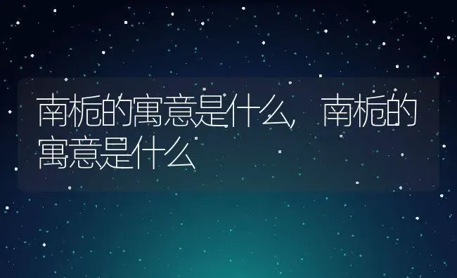 南栀的寓意是什么,南栀的寓意是什么 | 养殖常见问题