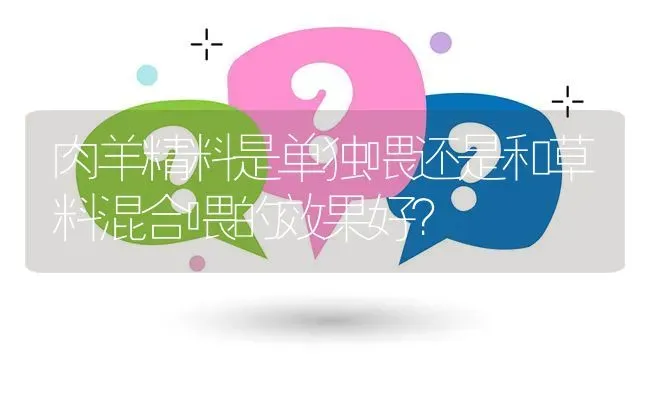 肉羊精料是单独喂还是和草料混合喂的效果好? | 养殖问题解答