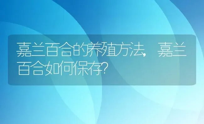 嘉兰百合的养殖方法,嘉兰百合如何保存？ | 养殖常见问题
