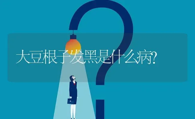 大豆根子发黑是什么病? | 养殖问题解答