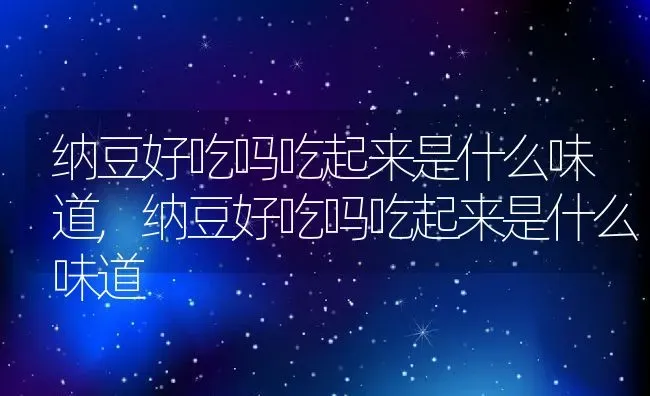 纳豆好吃吗吃起来是什么味道,纳豆好吃吗吃起来是什么味道 | 养殖常见问题