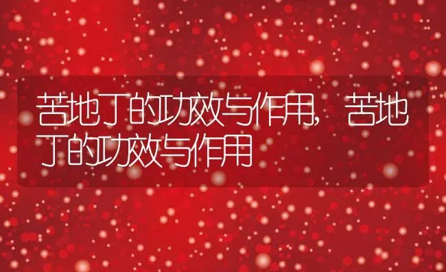 苦地丁的功效与作用,苦地丁的功效与作用 | 养殖常见问题