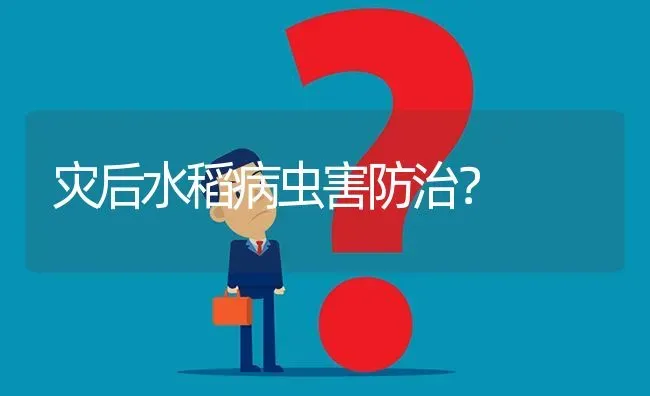 灾后水稻病虫害防治? | 养殖问题解答