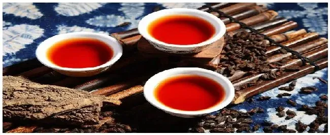 凤凰单从是什么茶 | 三农问答