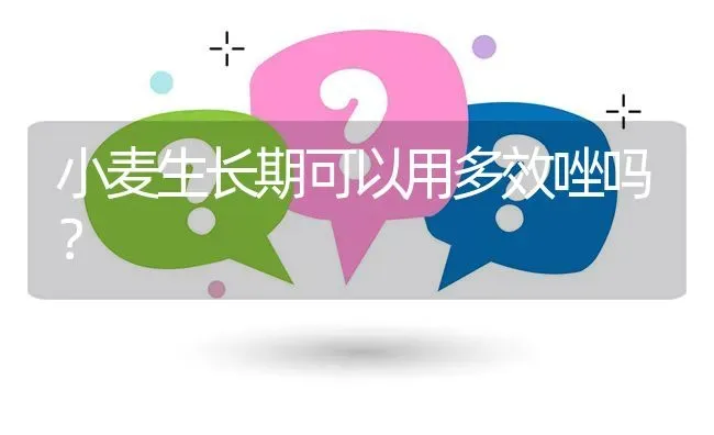 小麦生长期可以用多效唑吗? | 养殖问题解答