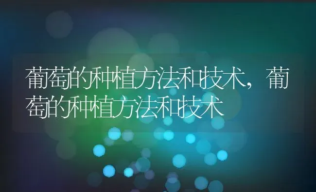 月季怎么扦插,月季花的扦插时间与方法？ | 养殖常见问题