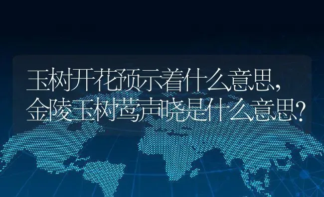 玉树开花预示着什么意思,金陵玉树莺声晓是什么意思？ | 养殖常见问题