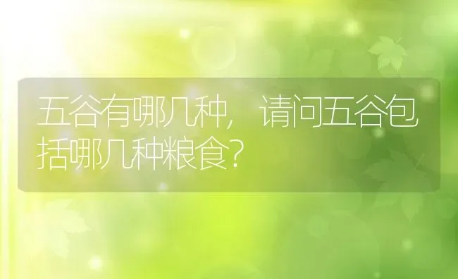 五谷有哪几种,请问五谷包括哪几种粮食？ | 养殖常见问题