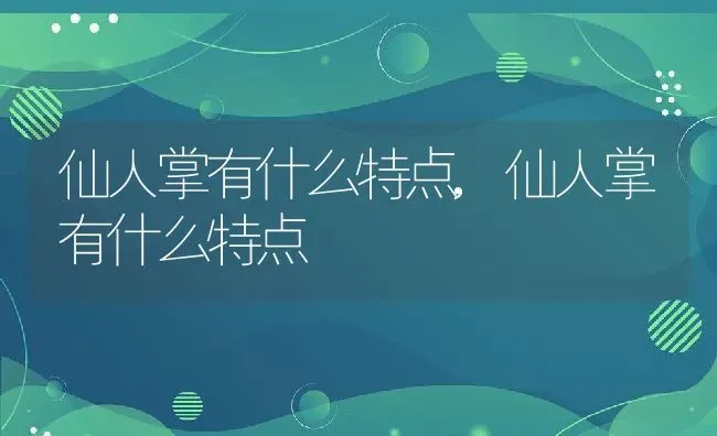 仙人掌有什么特点,仙人掌有什么特点 | 养殖常见问题