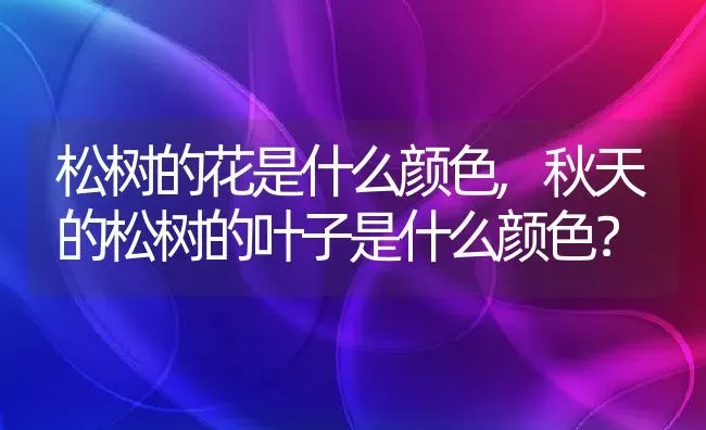 松树的花是什么颜色,秋天的松树的叶子是什么颜色？ | 养殖常见问题