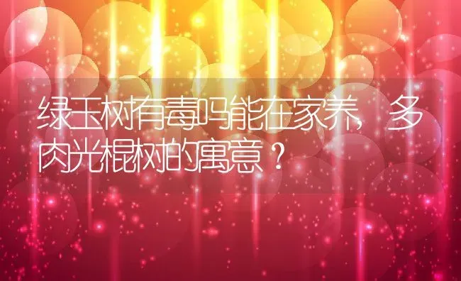 绿玉树有毒吗能在家养,多肉光棍树的寓意？ | 养殖常见问题