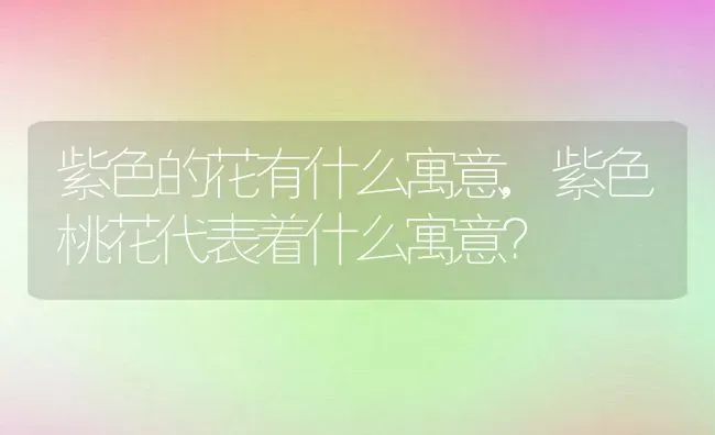 紫色的花有什么寓意,紫色桃花代表着什么寓意？ | 养殖常见问题