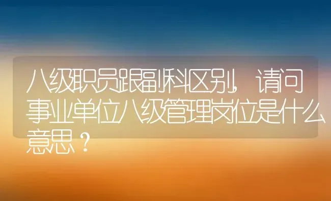 八级职员跟副科区别,请问事业单位八级管理岗位是什么意思？ | 养殖常见问题