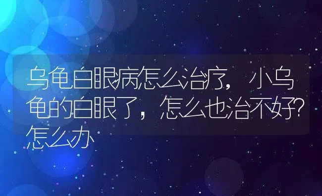 乌龟白眼病怎么治疗,小乌龟的白眼了，怎么也治不好？怎么办 | 养殖常见问题