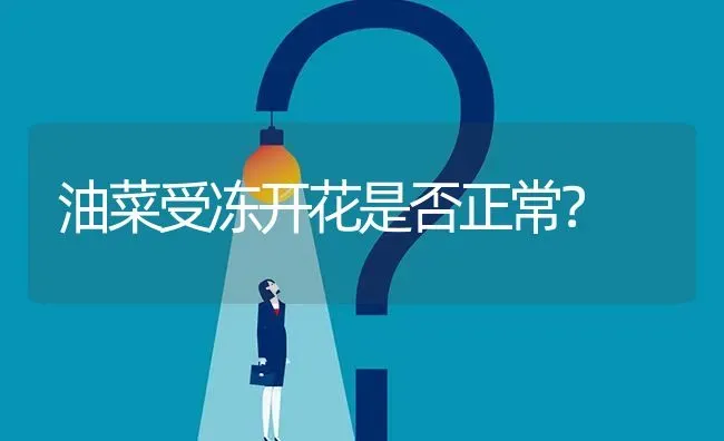 油菜受冻开花是否正常? | 养殖问题解答