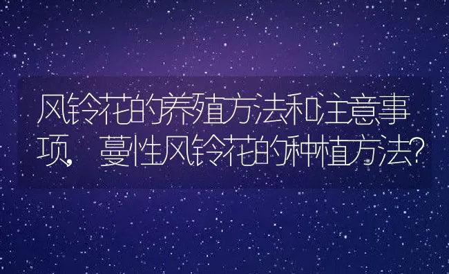 风铃花的养殖方法和注意事项,蔓性风铃花的种植方法？ | 养殖常见问题