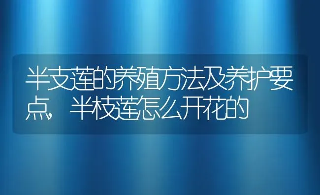 半支莲的养殖方法及养护要点,半枝莲怎么开花的 | 养殖常见问题