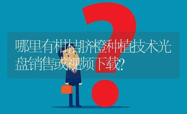 哪里有柑桔脐橙种植技术光盘销售或视频下载? | 养殖问题解答