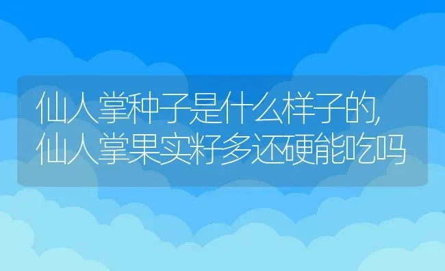 仙人掌种子是什么样子的,仙人掌果实籽多还硬能吃吗 | 养殖常见问题