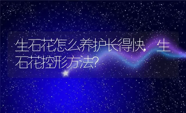 生石花怎么养护长得快,生石花控形方法？ | 养殖常见问题