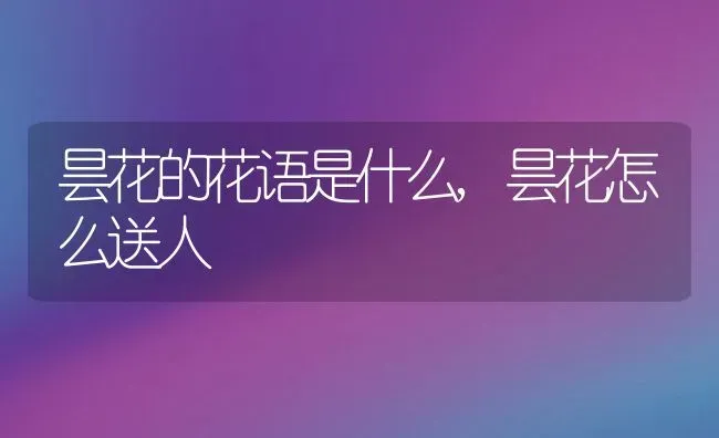 昙花的花语是什么,昙花怎么送人 | 养殖常见问题