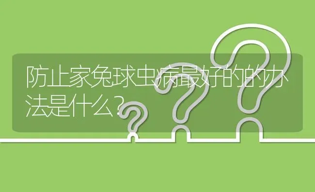 防止家兔球虫病最好的的办法是什么? | 养殖问题解答