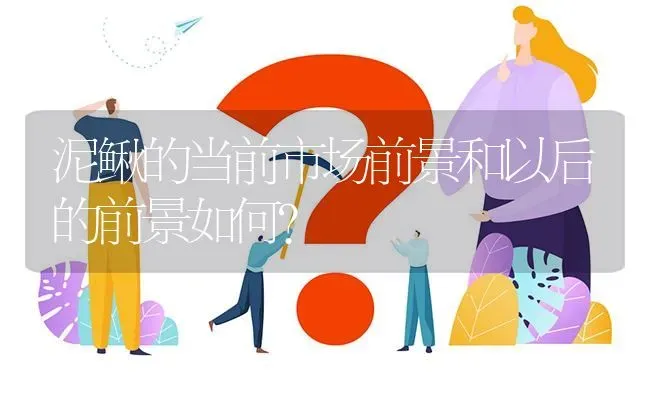 泥鳅的当前市场前景和以后的前景如何? | 养殖问题解答