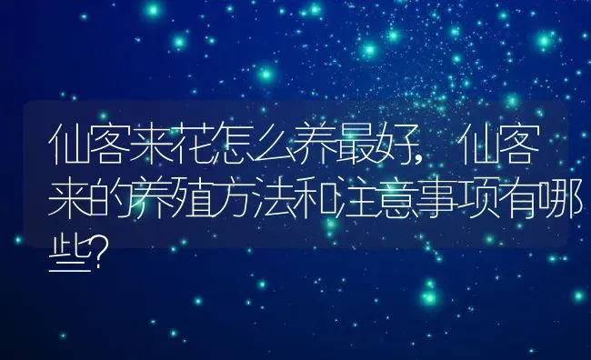 仙客来花怎么养最好,仙客来的养殖方法和注意事项有哪些？ | 养殖常见问题