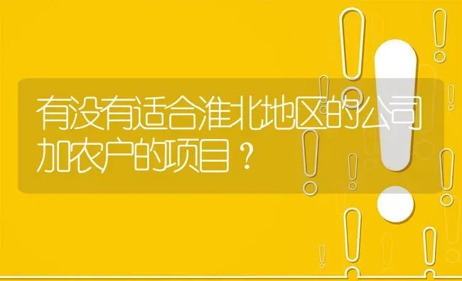 有没有适合淮北地区的公司加农户的项目? | 养殖问题解答