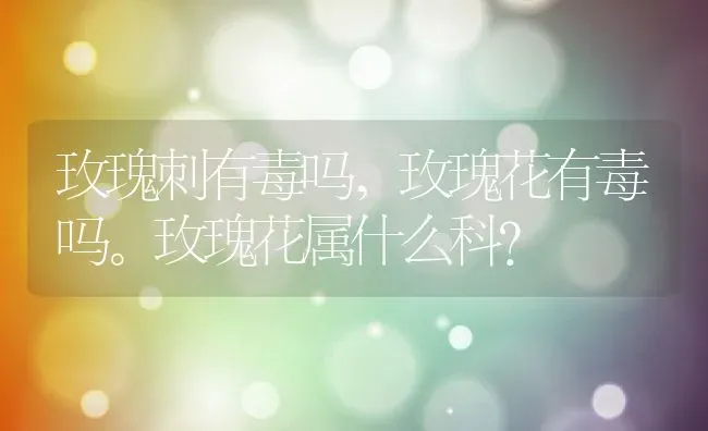 玫瑰刺有毒吗,玫瑰花有毒吗。玫瑰花属什么科？ | 养殖常见问题