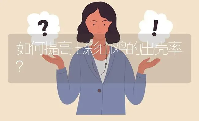 如何提高七彩山鸡的出壳率? | 养殖问题解答