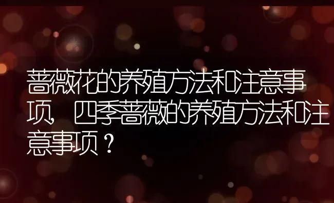 蔷薇花的养殖方法和注意事项,四季蔷薇的养殖方法和注意事项？ | 养殖常见问题