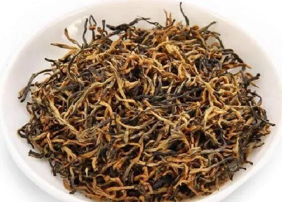 植物常识问题|金骏眉属于什么茶系  喝了金骏眉茶叶的功效好处