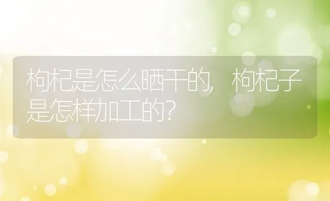 枸杞是怎么晒干的,枸杞子是怎样加工的？ | 养殖常见问题