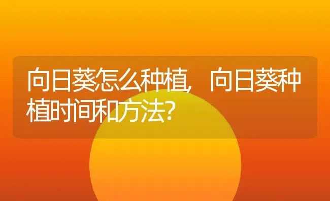 向日葵怎么种植,向日葵种植时间和方法？ | 养殖常见问题