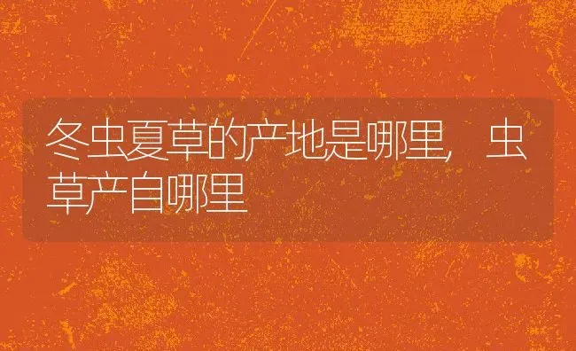 冬虫夏草的产地是哪里,虫草产自哪里 | 养殖常见问题