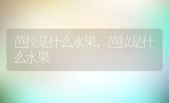 芭拉是什么水果,芭拉是什么水果 | 养殖常见问题