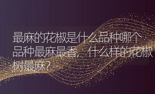 最麻的花椒是什么品种哪个品种最麻最香,什么样的花椒树最麻？ | 养殖常见问题