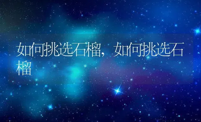 如何挑选石榴,如何挑选石榴 | 养殖常见问题