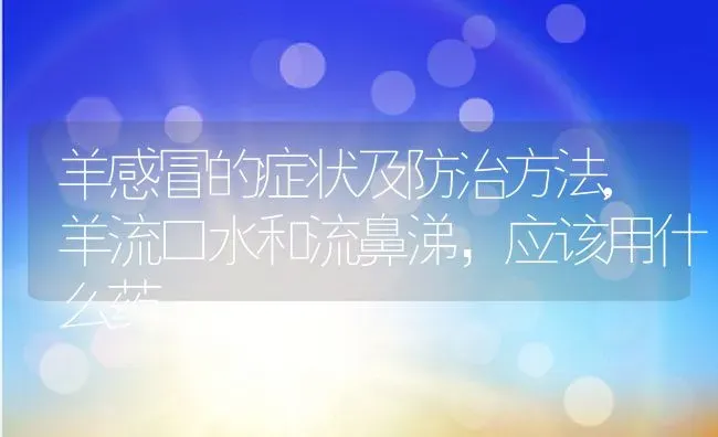 羊感冒的症状及防治方法,羊流口水和流鼻涕，应该用什么药 | 养殖常见问题