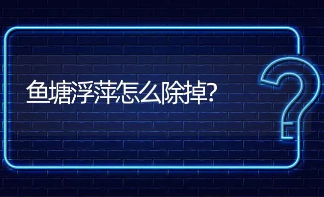 鱼塘浮萍怎么除掉? | 养殖问题解答
