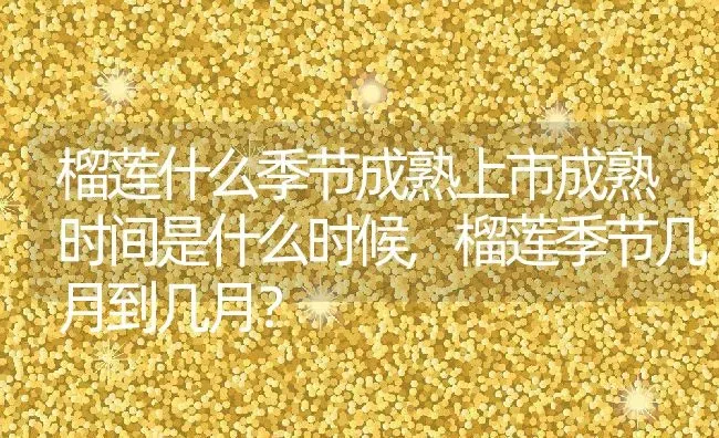 榴莲什么季节成熟上市成熟时间是什么时候,榴莲季节几月到几月？ | 养殖常见问题