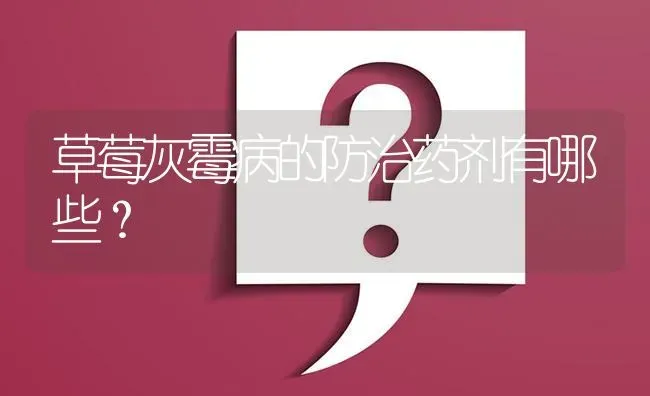 草莓灰霉病的防治药剂有哪些? | 养殖问题解答