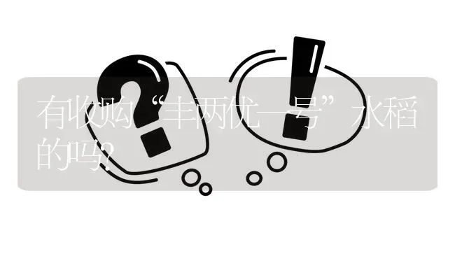 有收购“丰两优一号”水稻的吗? | 养殖问题解答