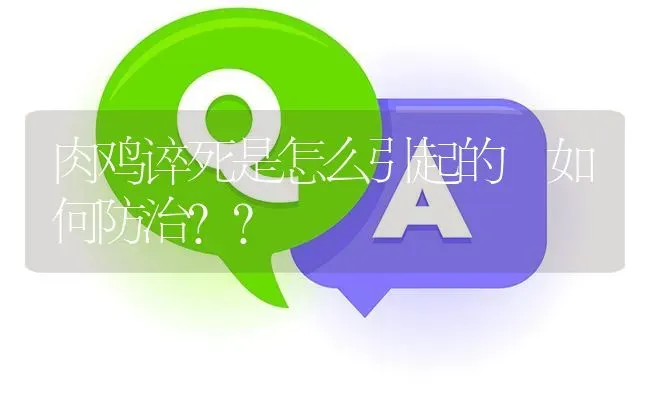 肉鸡谇死是怎么引起的 如何防治?? | 养殖问题解答