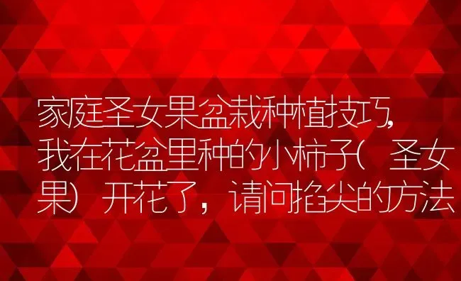 家庭圣女果盆栽种植技巧,我在花盆里种的小柿子(圣女果)开花了，请问掐尖的方法 | 养殖常见问题