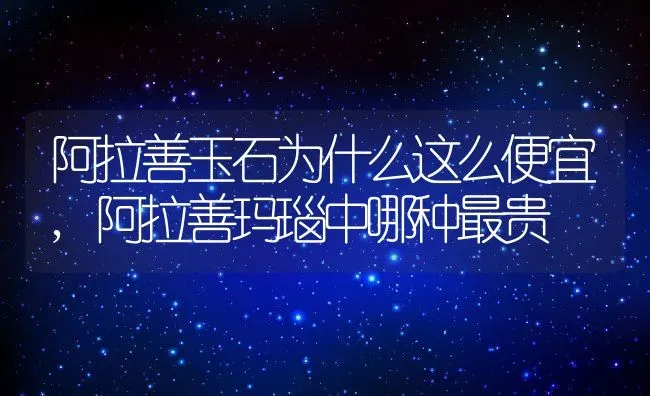 阿拉善玉石为什么这么便宜,阿拉善玛瑙中哪种最贵 | 养殖常见问题
