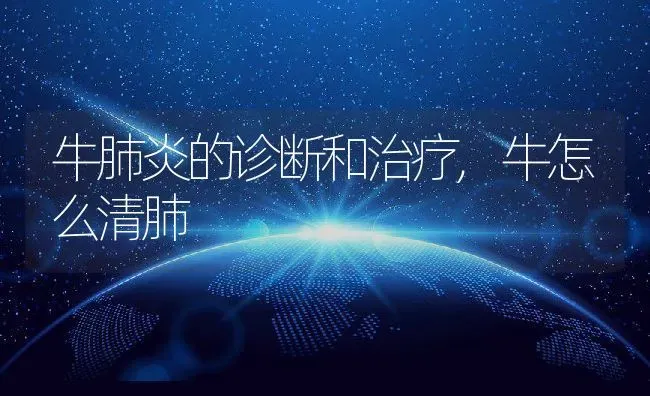 牛肺炎的诊断和治疗,牛怎么清肺 | 养殖常见问题