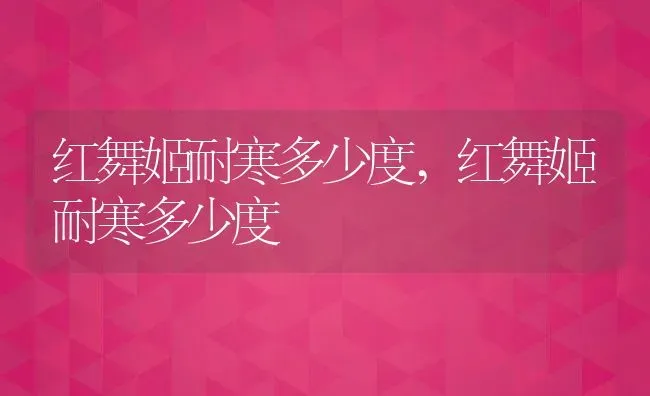 红舞姬耐寒多少度,红舞姬耐寒多少度 | 养殖常见问题